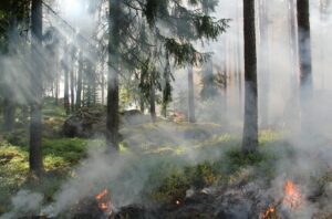 Fire Risk in Michigan