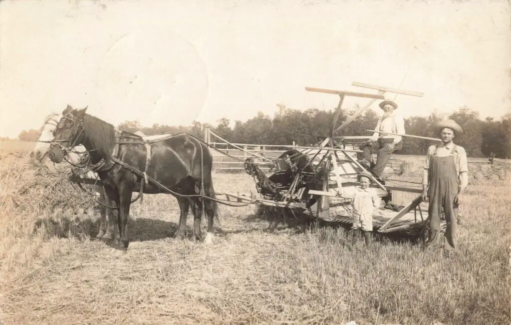 a horse pulling a machine