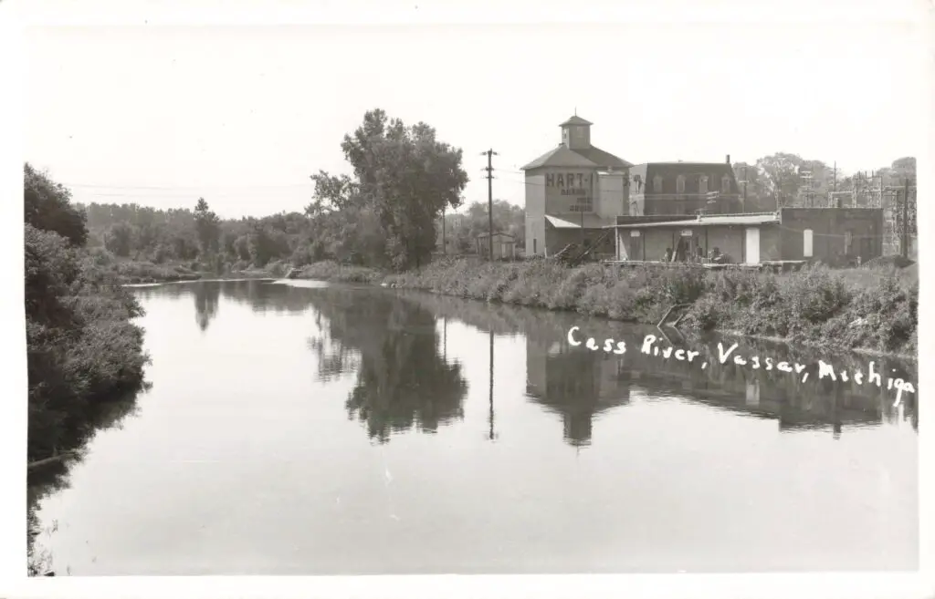 Cass River in Vassar