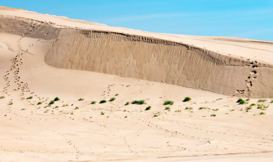 Michigan Sand Dune Collapse Buries 9 Year Old, Child Escapes Grave Danger