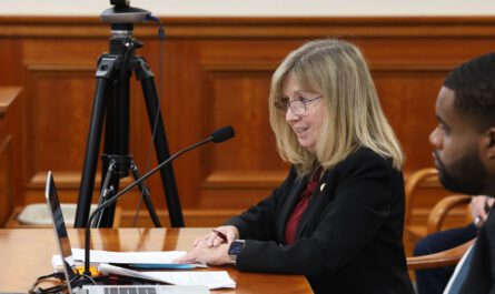 state Rep. Sharon MacDonell (D-Troy)