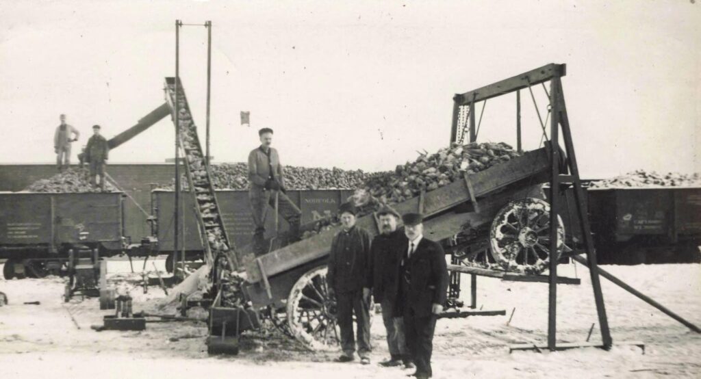 Sugar Beet harvest