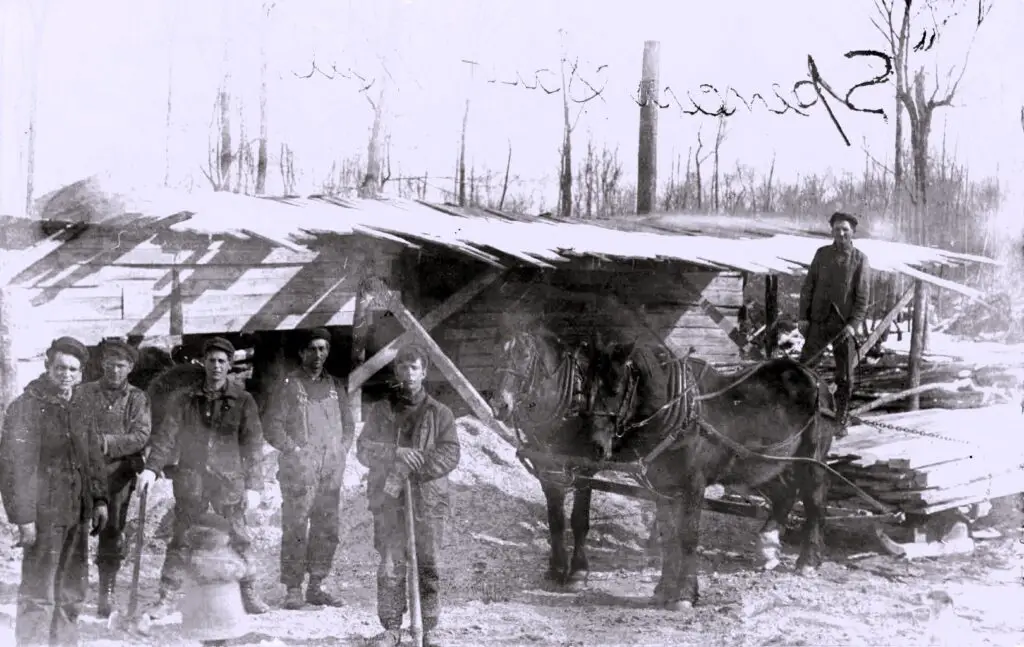 Spensor Sawmill