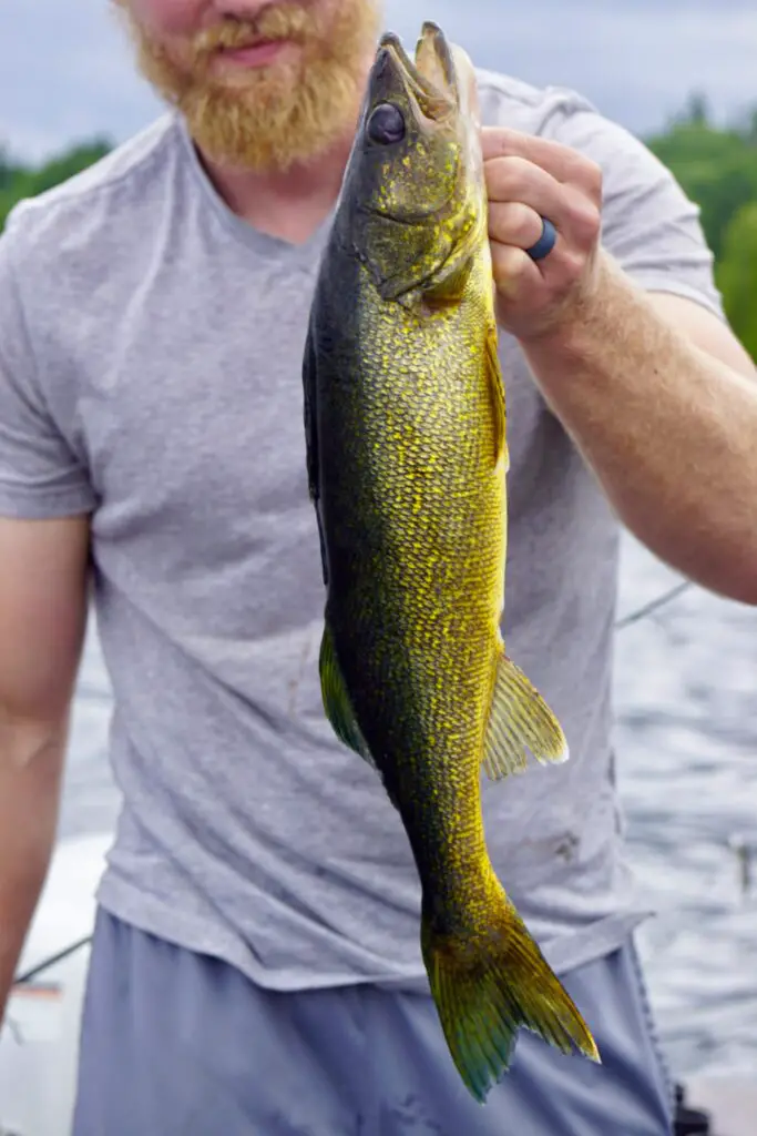 Michigan weekly fishing report