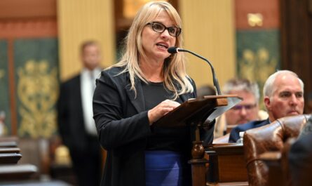 State Rep. Alicia St. Germaine (R-Harrison Township)