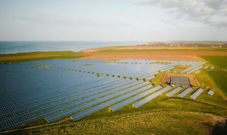 solar panels on farmland