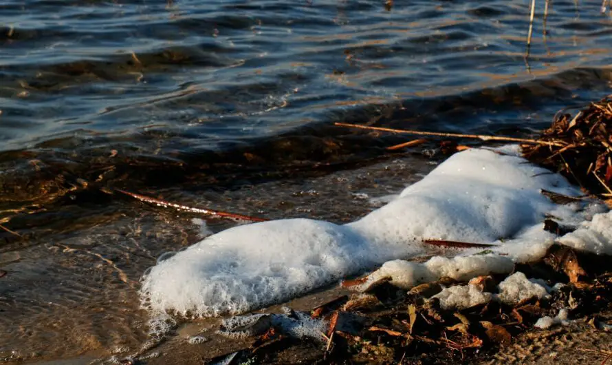 PURE Water Act Targets 4 Critical PFAS Dangers Facing Michigan Communities