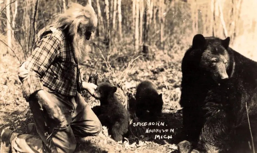 Spikehorn Meyers and His Wild Harrison Michigan Bear Roadside Attraction