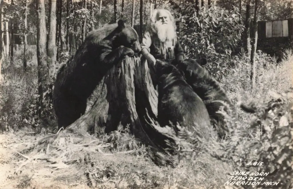 a man sitting on a tree with bears
