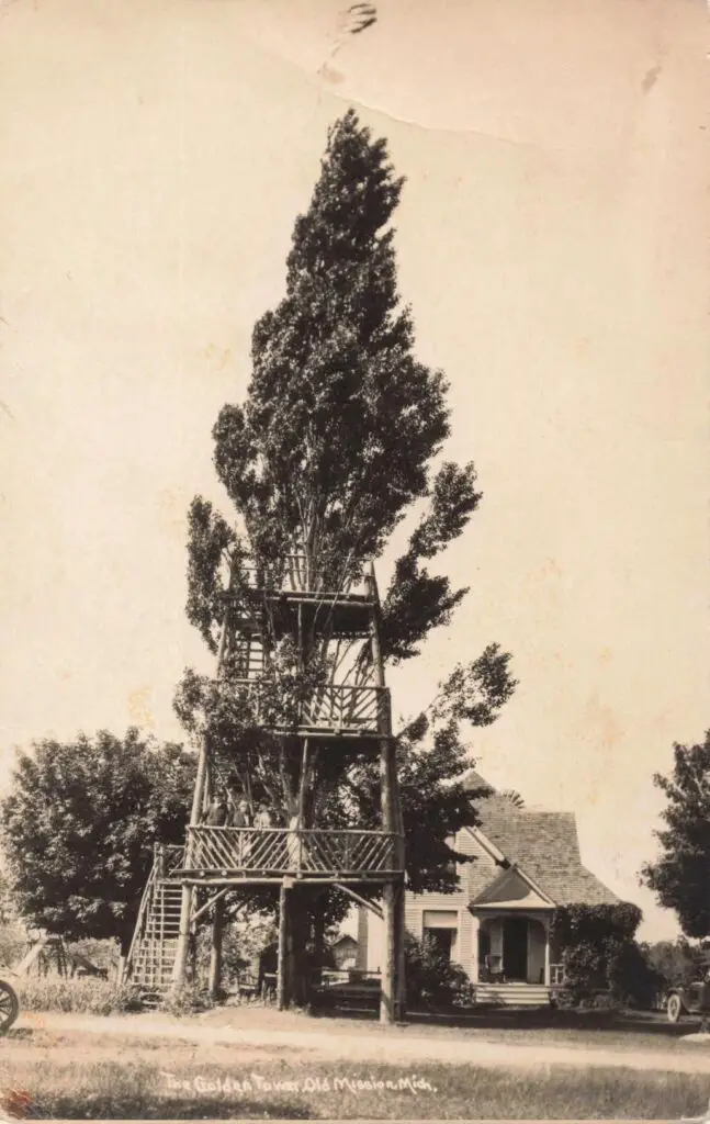 a tree house with a tall tree