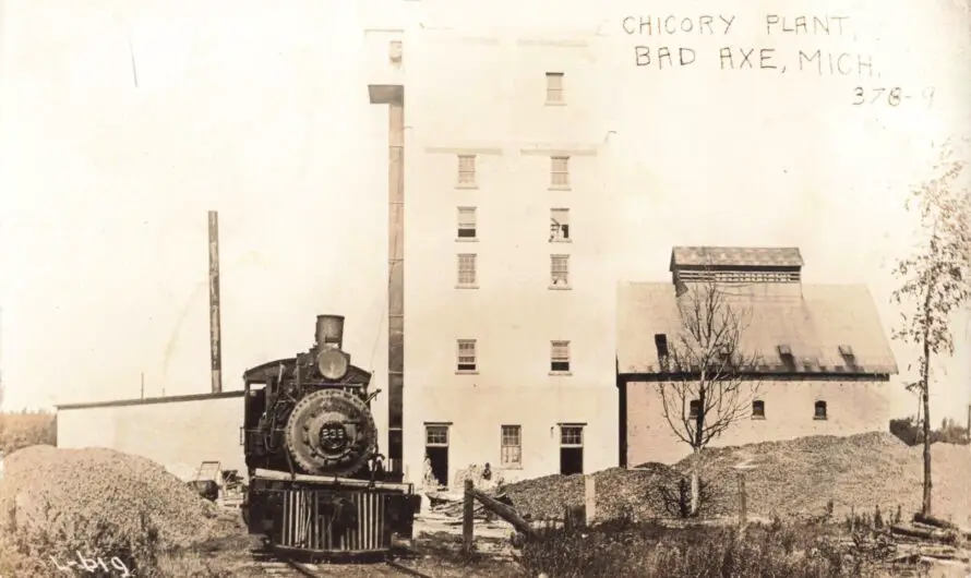 Bad Axe’s Chicory Plant and the Muller Coffee Substitute Era, c. 1909–1912