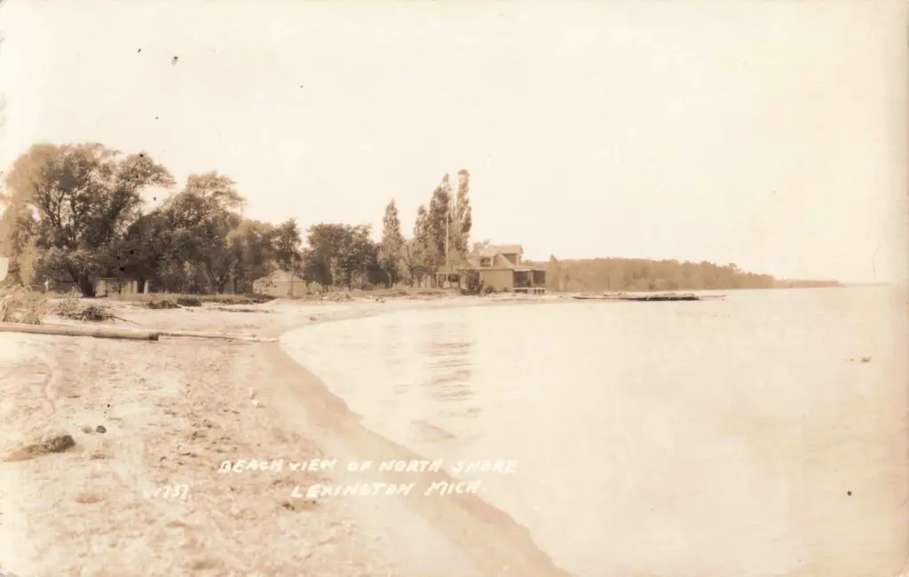 a beach with a house and trees