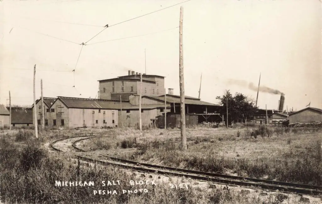 MIchigan Salt Block