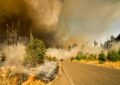 Benzie Road Fire