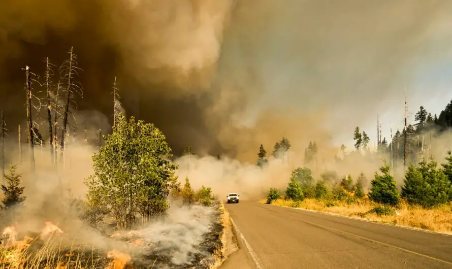 Benzie Road Fire: 100% contained as crews douse hot spots near Houghton Lake