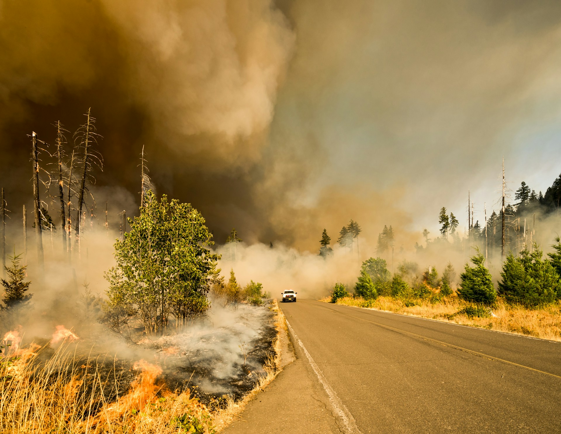 Benzie Road Fire
