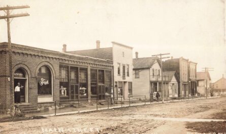 History of Emmett Michgan