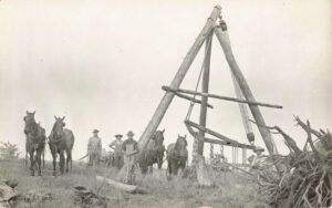 Stump Pulling Edmore Michigan