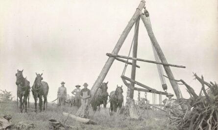 Stump Pulling Edmore Michigan