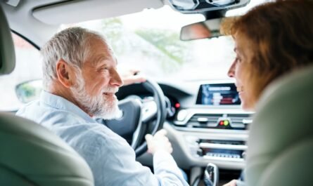 Michigan older drivers