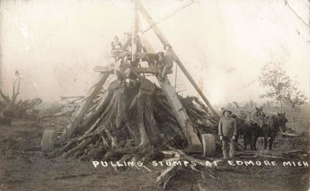 Historic stump removal in Edmore, Michigan.
