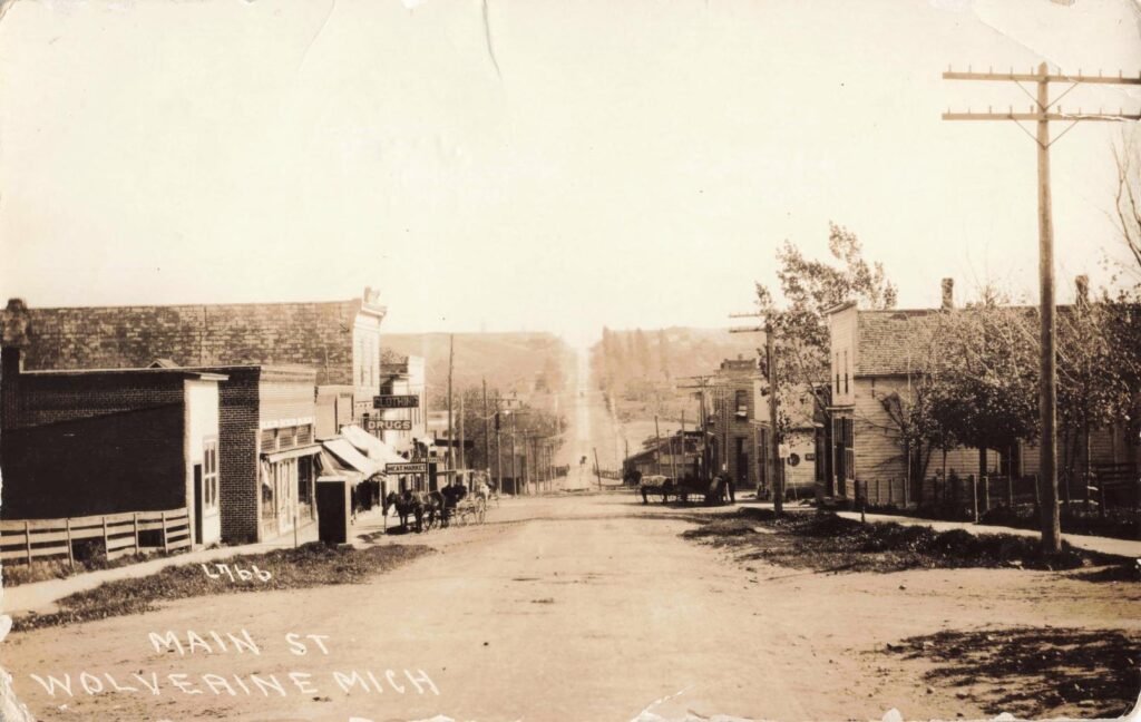 Historic street view of Wolverine, Michigan