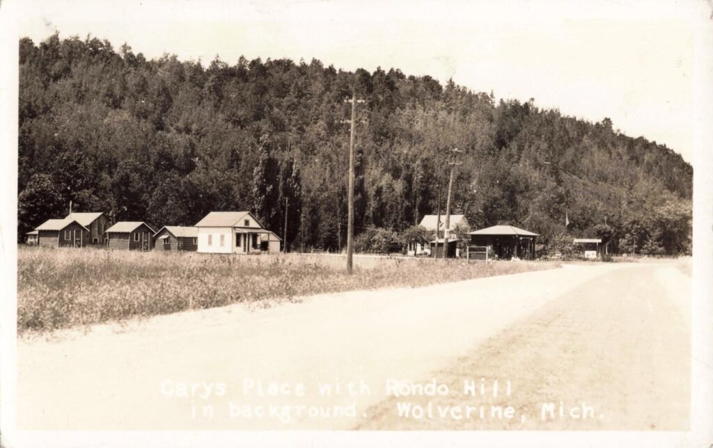 Historic houses near Rondo Hill - History of Wolverine Michigan