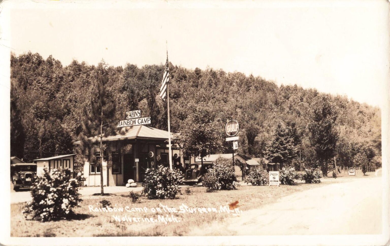 History Of Wolverine Michigan: From Logging Boom To Tourism Stopover