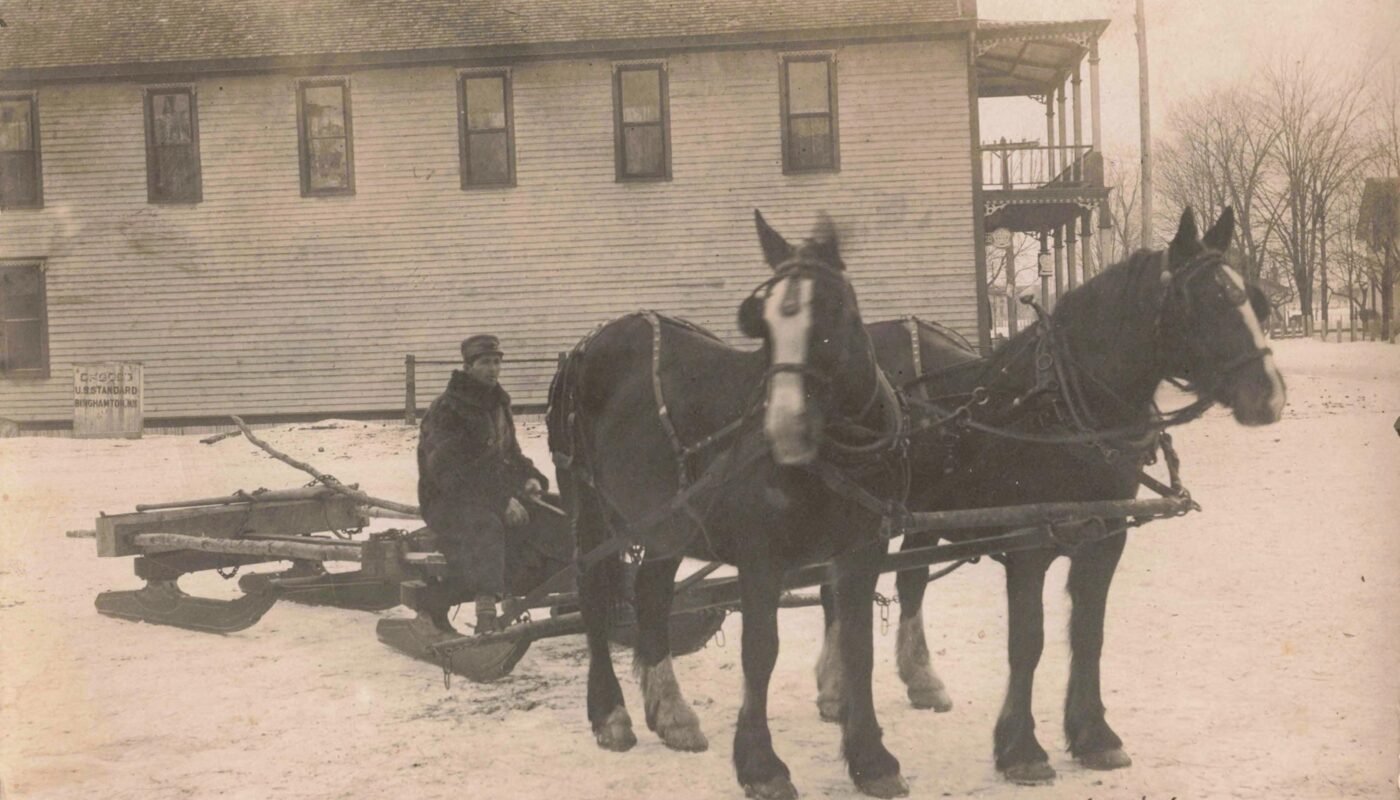 Horse Team in Winter