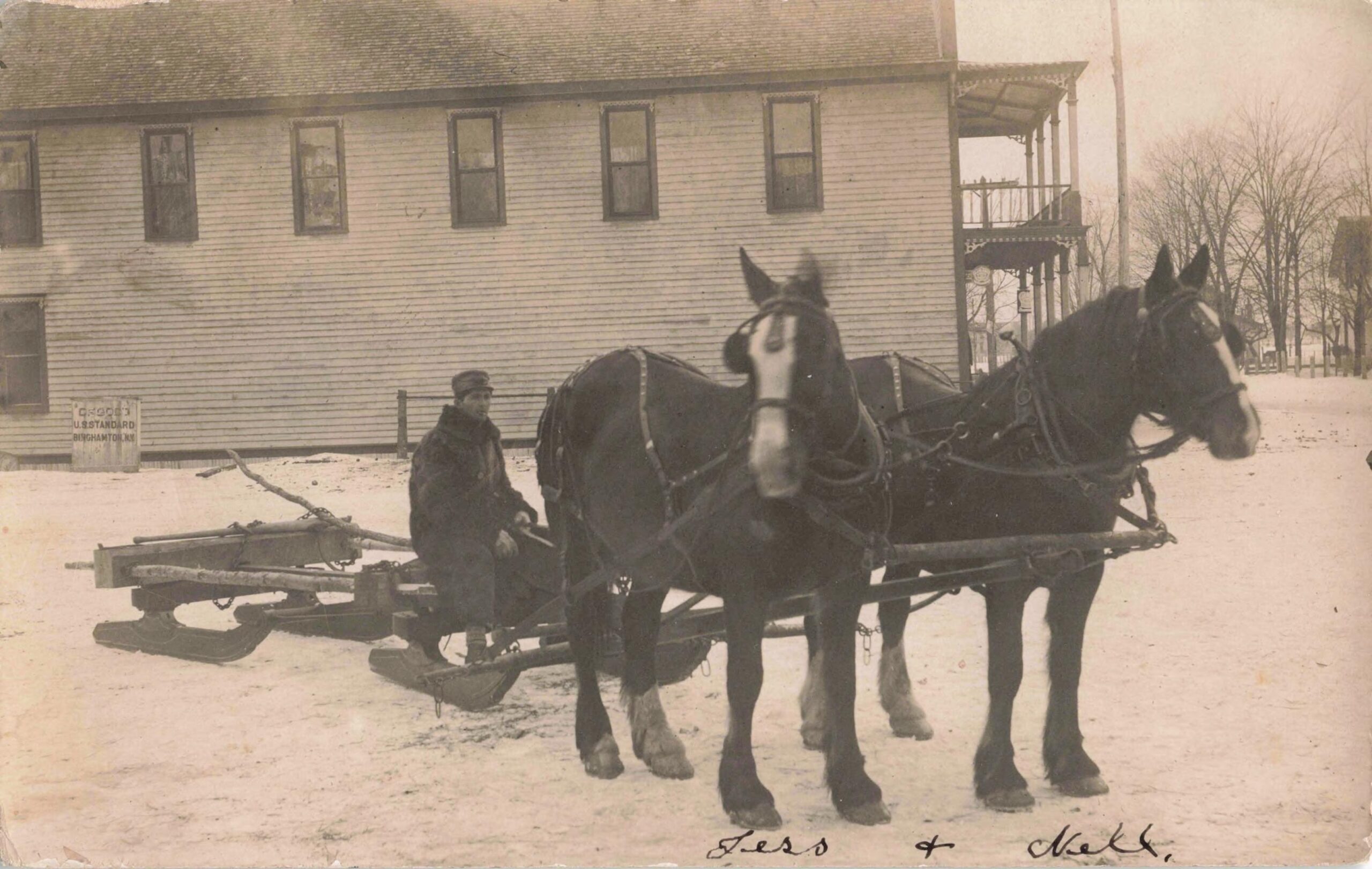 Horse Team in Winter