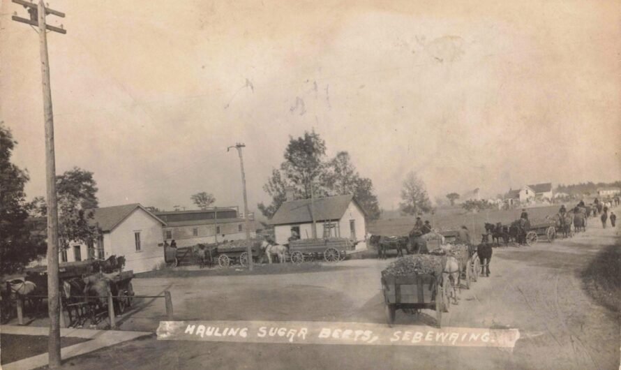 Beet Harvest Traffic Jam — Sebewaing Style