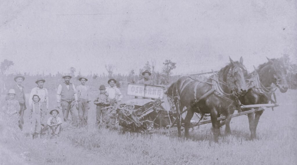 Historical farming scene with horses.