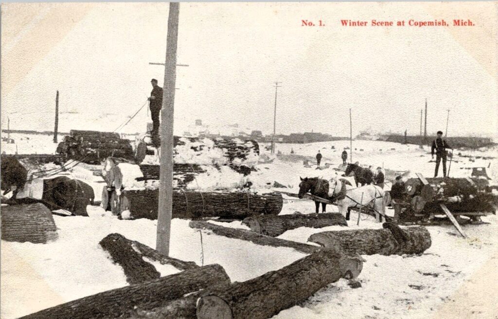 Horse-drawn logging sled hauling timber near Copemish during winter logging season.