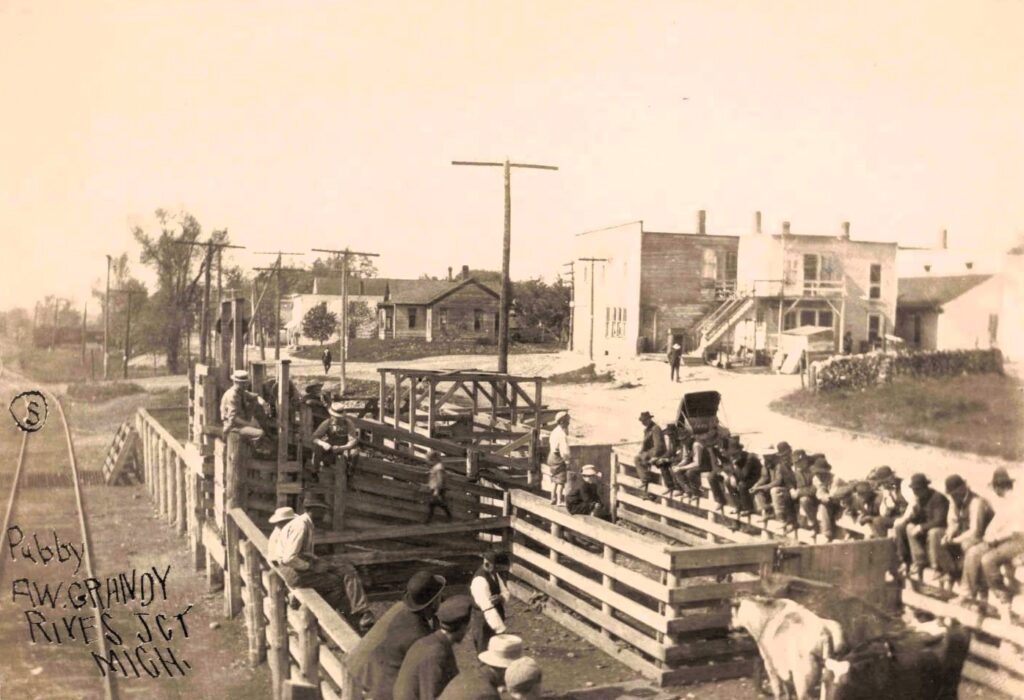 Historic cattle pen with people observing.