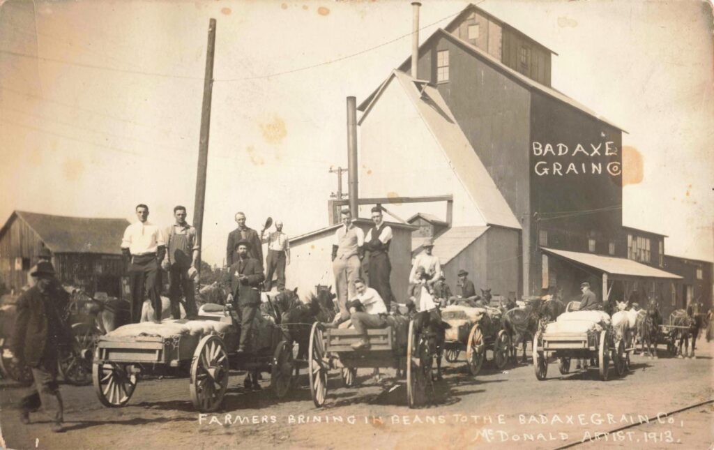 Farmers bringing in beans to the Bad Axe Grain Co.
