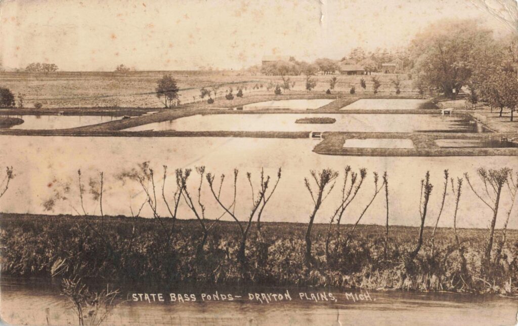 Bass Ponds at the Drayton Fish Hatchery