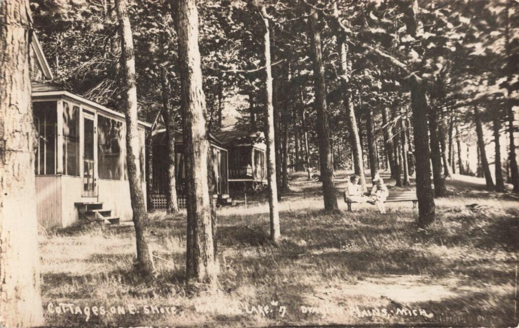 Cottages nestled among tall trees.