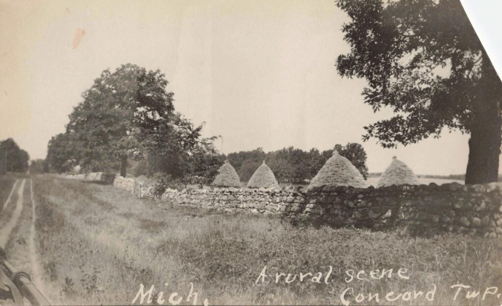 Rural scene, Concord Township, Mich. — Farm life supplied the trade that kept Concord’s mill, depot and stores active.