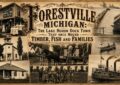 History of Forestville Michigan