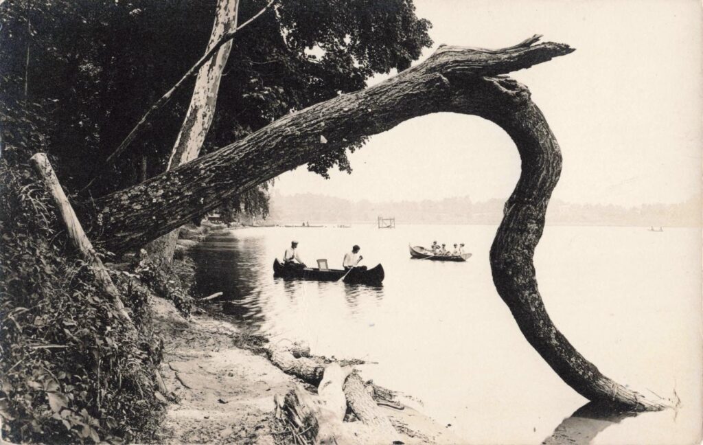 The Crooked Tree Indian Lake, Michigan
