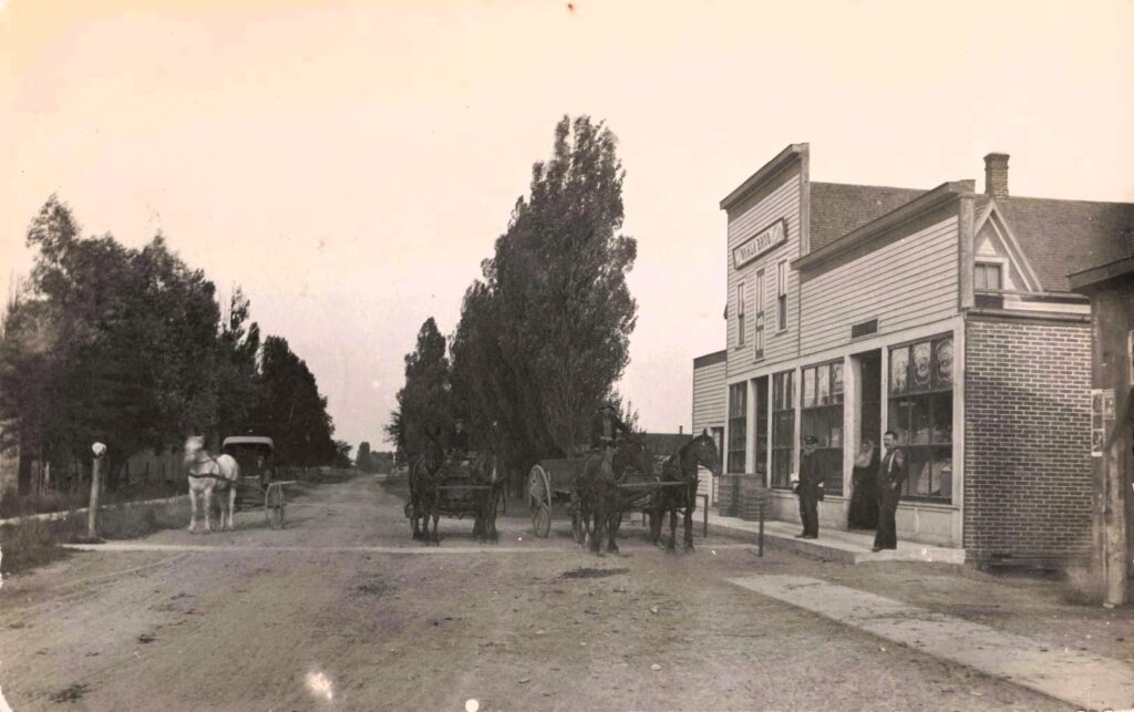Historic store with horse-drawn carriages.