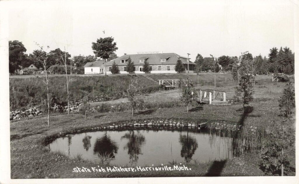 State Fish Hatchery, Harrisville, Mich.