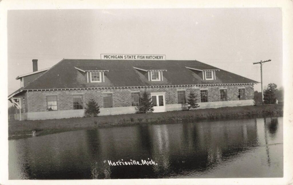 The Michigan State Fish Hatchery in Harrisville (early 20th century) sat by spring-fed ponds – a low, brick building dedicated to raising trout.