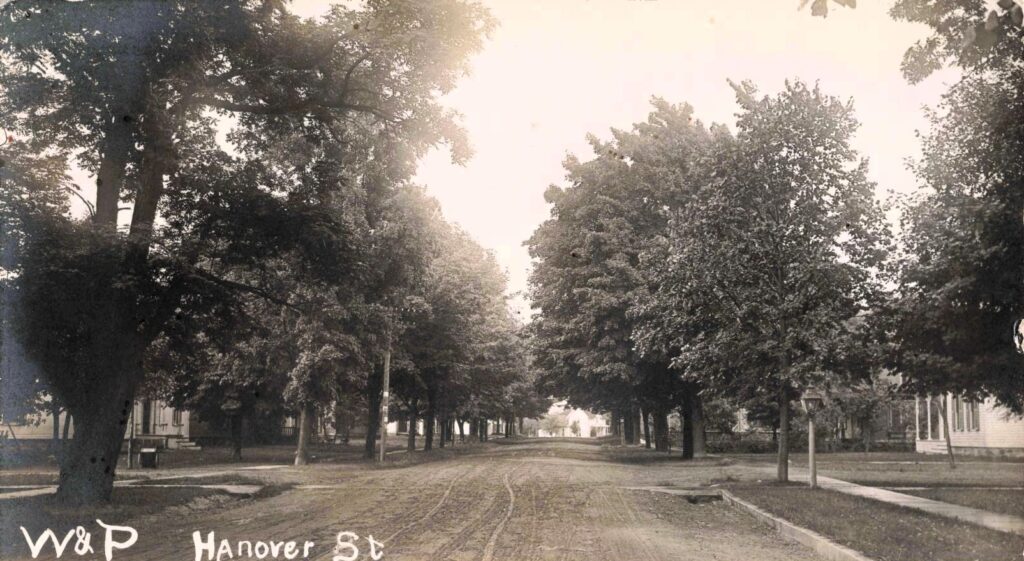Tree Lined Hanover Street in Concord