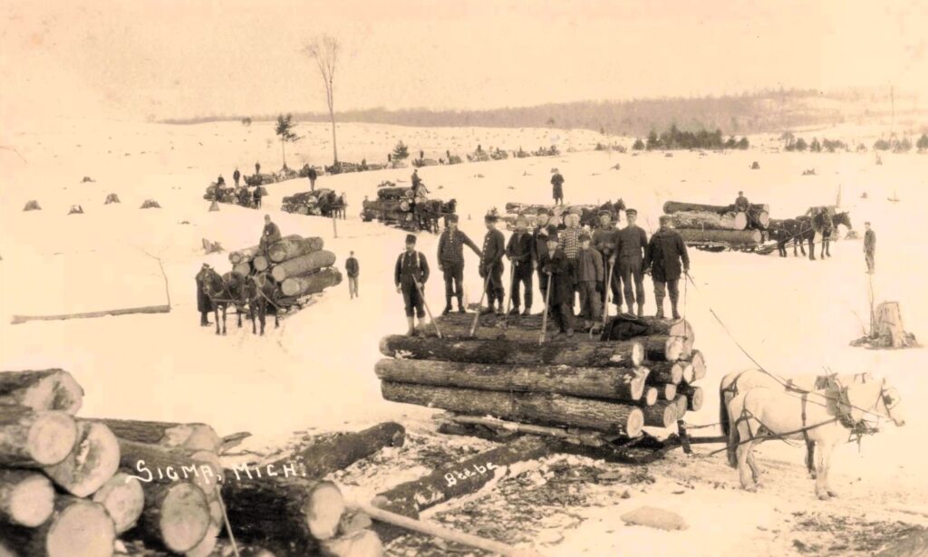 Winter logging near Sigma: Horse-drawn sleds loaded with timber cross a snowy field, capturing the heavy winter hauling that kept lumber operations moving.