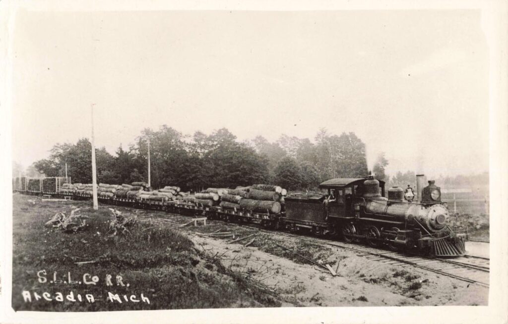 Old steam train transporting logs.