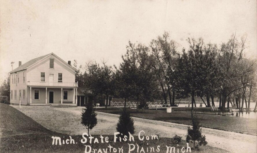 Drayton Plains Station 1918 – Waterford’s Amazing Fish Hatchery
