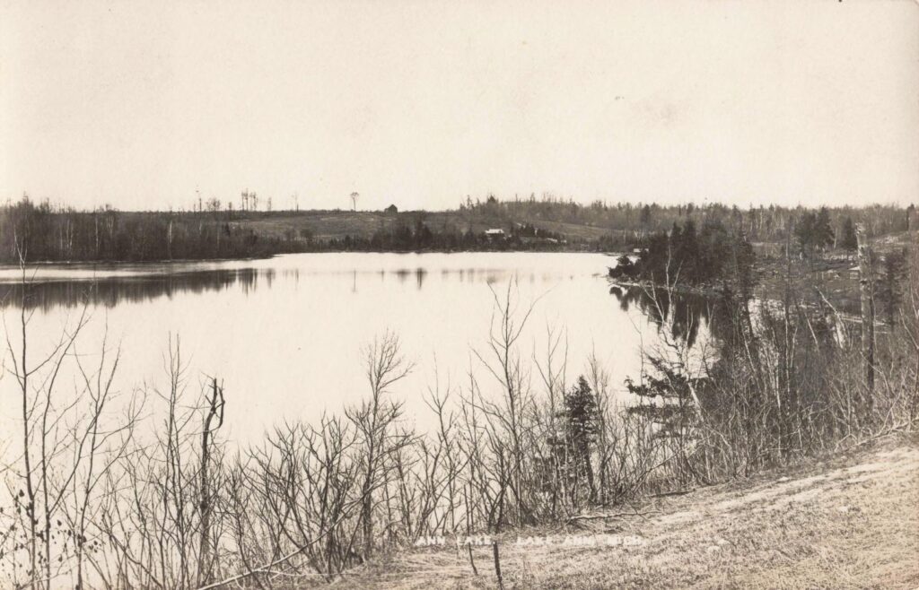 Serene lake landscape with trees.