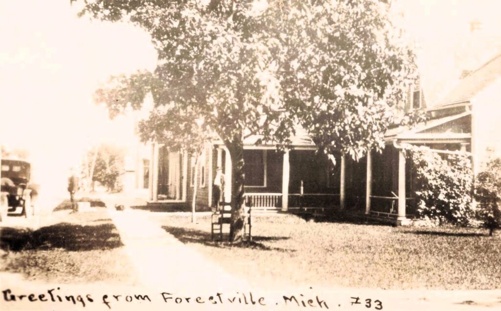 Historic house in Forestville, Michigan