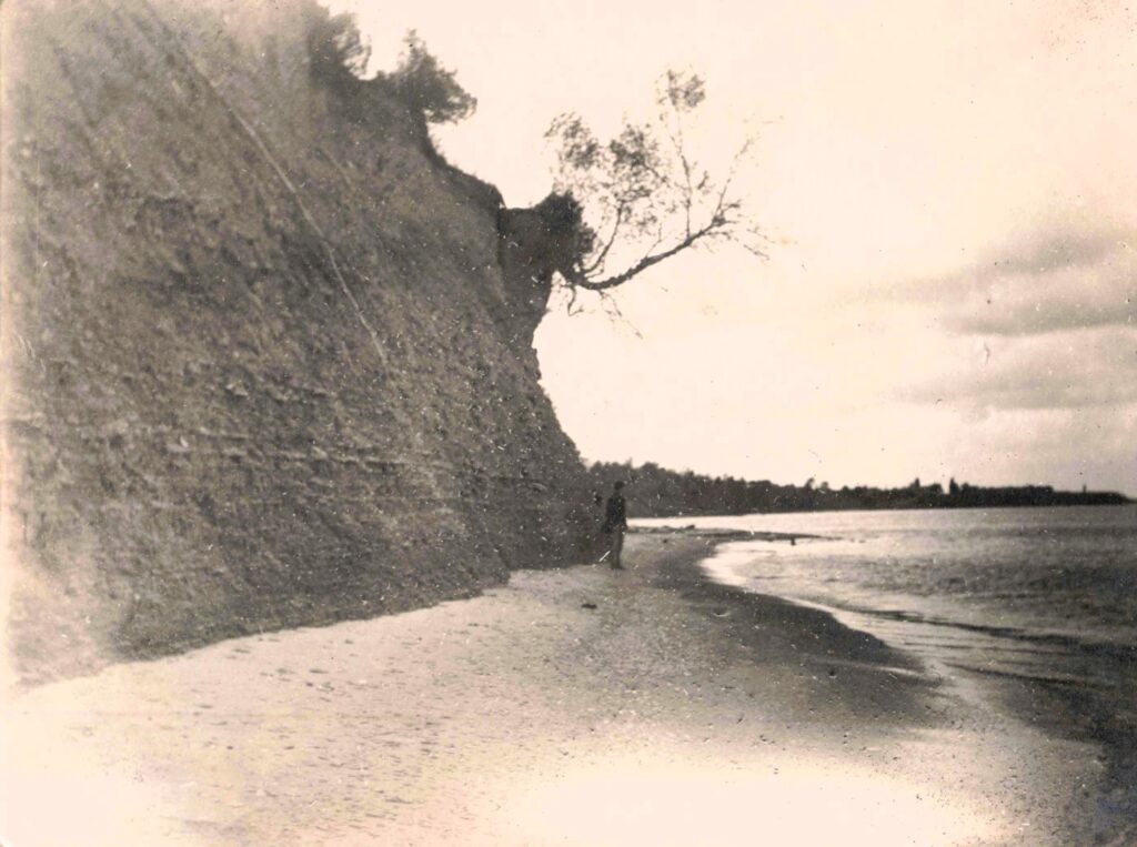 Lake Huron was more than scenery for Forestville. In fire years, the shoreline could become a place of last resort.